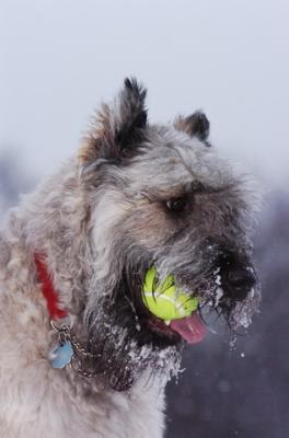 Feb10_06_332.JPG