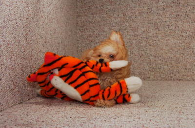 Feb13_06_051.JPG