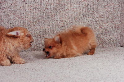 Feb14_06_389.JPG