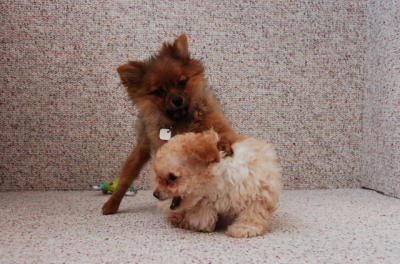 Feb21_06_570.JPG