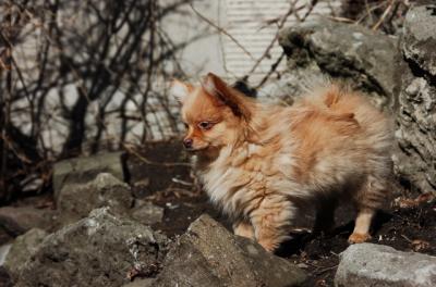 Feb24_06_518.JPG