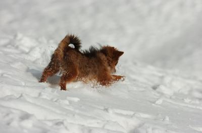Feb27_06_028.JPG