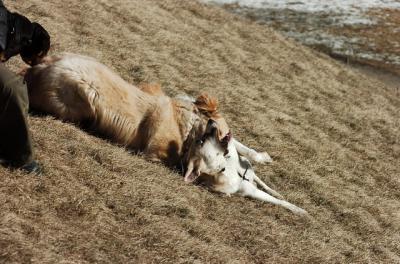 Mar5_06_297.JPG