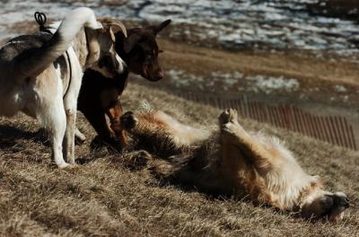 Mar5_06_304.JPG