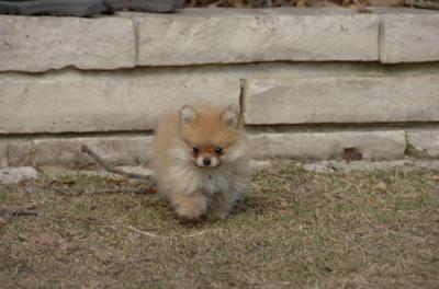 Mar16_06_215.JPG