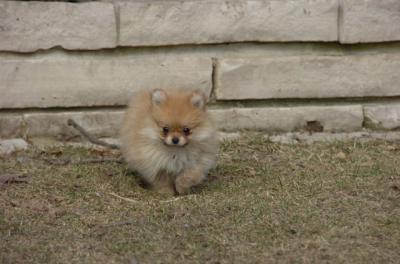 Mar16_06_216.JPG