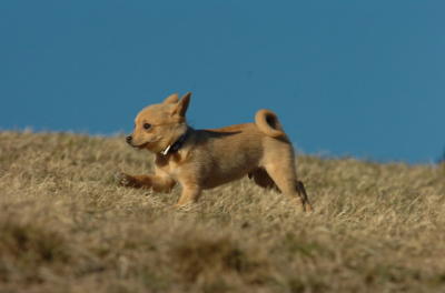 Mar26_06_686.JPG