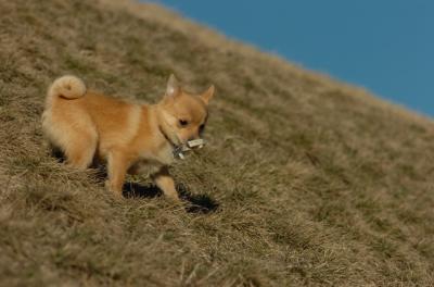 Mar26_06_701.JPG