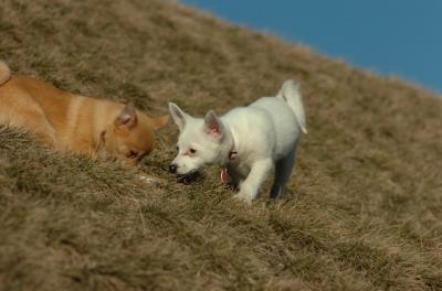 Mar26_06_703.JPG