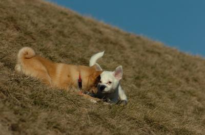 Mar26_06_705.JPG