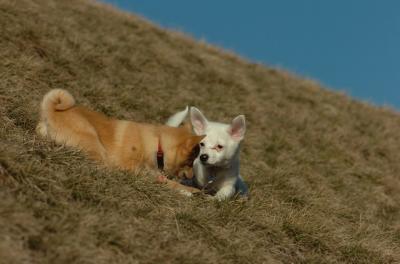 Mar26_06_706.JPG