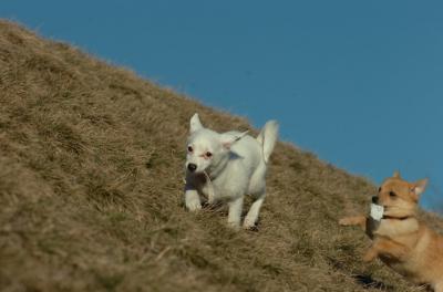 Mar26_06_728.JPG