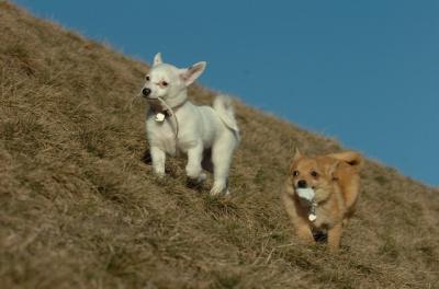 Mar26_06_734.JPG