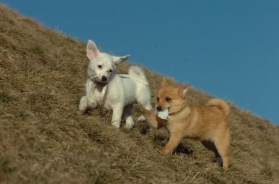Mar26_06_736.JPG