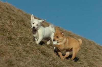 Mar26_06_738.JPG