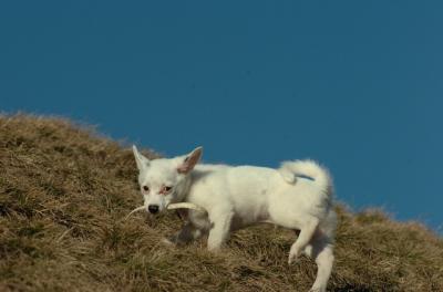 Mar26_06_741.JPG