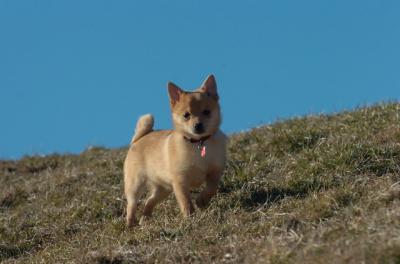 Mar26_06_779.JPG