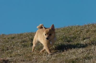 Mar26_06_780.JPG