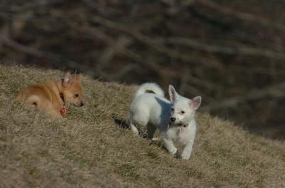 Mar26_06_784.JPG