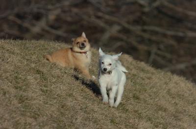 Mar26_06_785.JPG