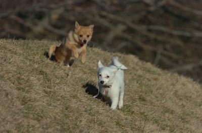 Mar26_06_786.JPG