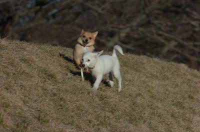 Mar26_06_789.JPG