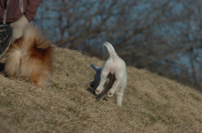 Mar26_06_805.JPG