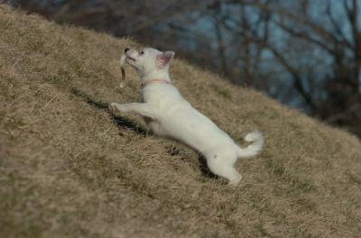 Mar26_06_808.JPG