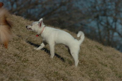 Mar26_06_810.JPG