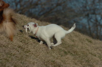 Mar26_06_811.JPG