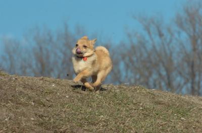 Mar26_06_248.JPG