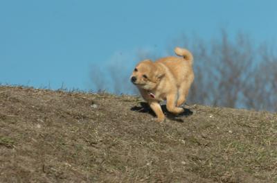 Mar26_06_250.JPG