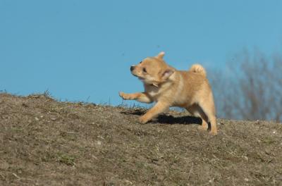 Mar26_06_251.JPG