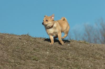 Mar26_06_252.JPG