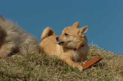 Mar28_06_273.JPG