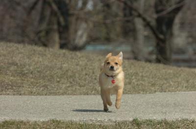 Mar30_06_389.JPG