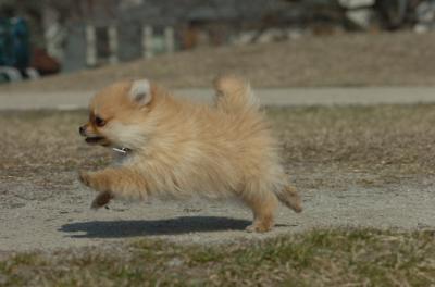 Mar30_06_396.JPG
