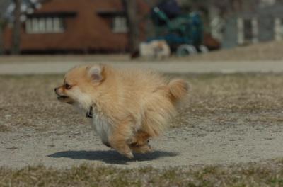 Mar30_06_397.JPG
