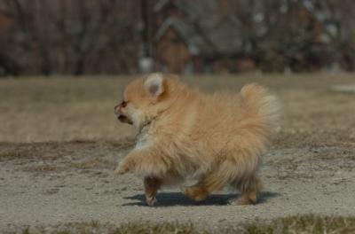 Mar30_06_398.JPG