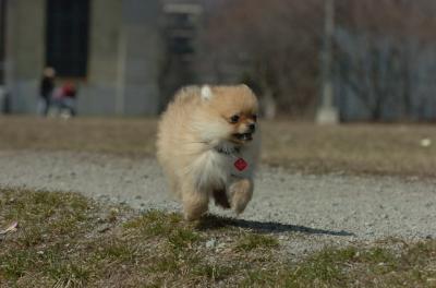 Mar30_06_401.JPG