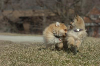 Mar30_06_418.JPG