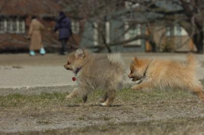 Mar30_06_423.JPG