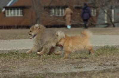 Mar30_06_425.JPG