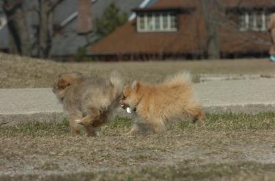 Mar30_06_426.JPG