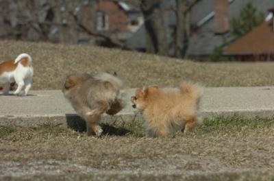 Mar30_06_427.JPG