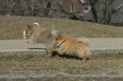 Mar30_06_428.JPG