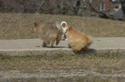 Mar30_06_429.JPG