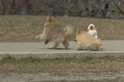 Mar30_06_430.JPG