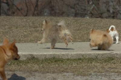 Mar30_06_431.JPG