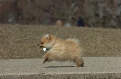 Mar30_06_440.JPG